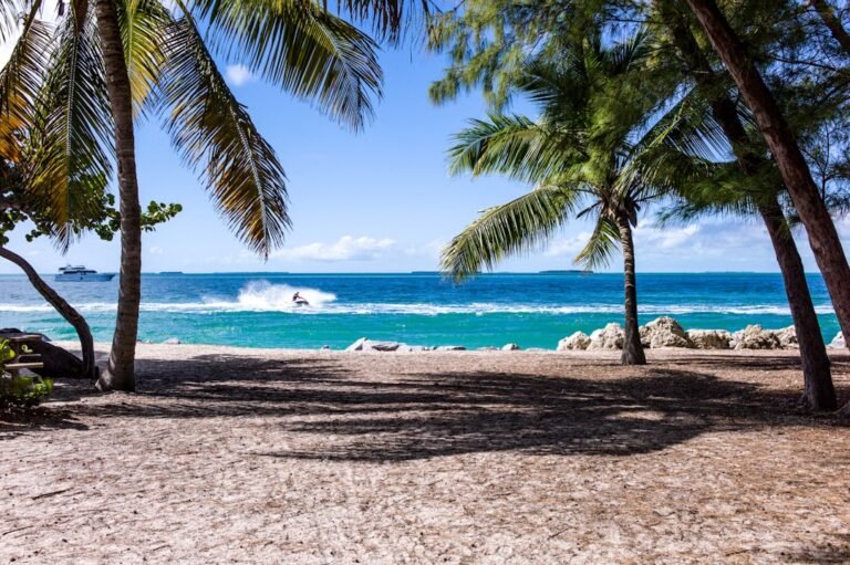 Photo Tropical beaches